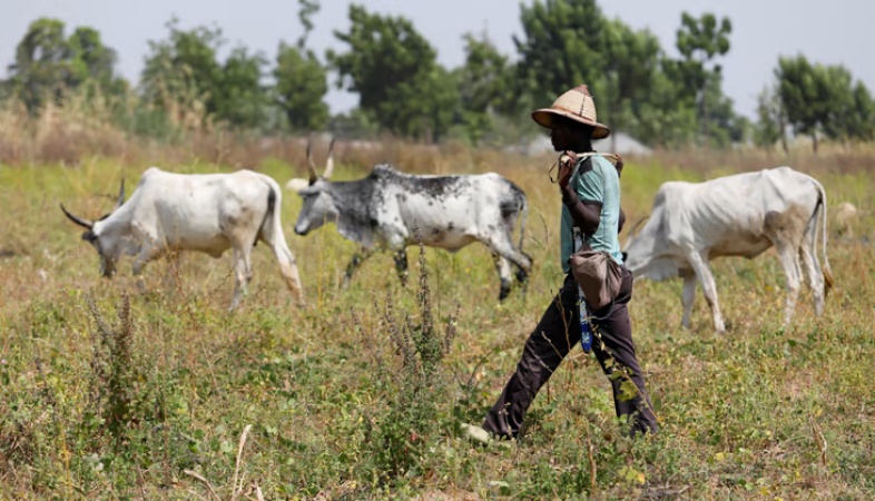 Delta profiles herders to curb clashes with farmers
