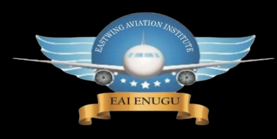 Institute urges Igbo youths to explore opportunities in aviation