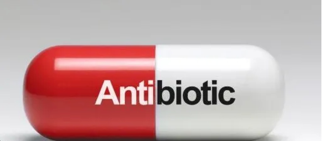 Study links gender to antimicrobial resistance in Nigeria