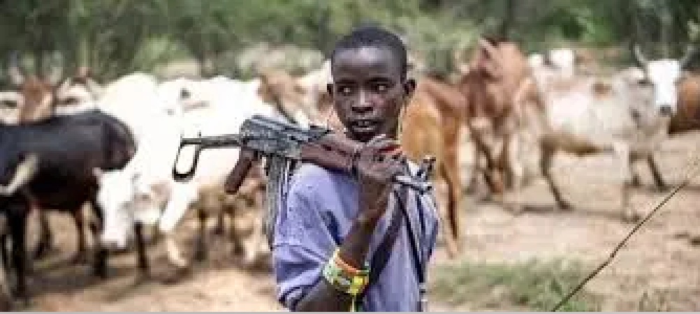 Suspected herdsmen abduct two siblings in Imo community