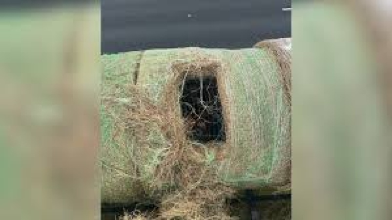 Alleged human smugglers arrested in US after hiding migrants inside hollowed hay bales