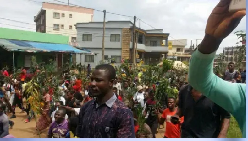 ?Nowhere is safe? ? Cameroonians trapped between separatists and soldiers