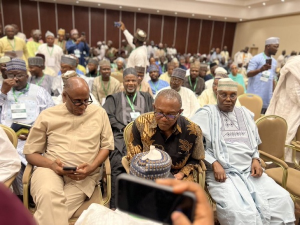 Anti-Tinubu coalition: North?ll unveil candidate, party soon ? NPCG