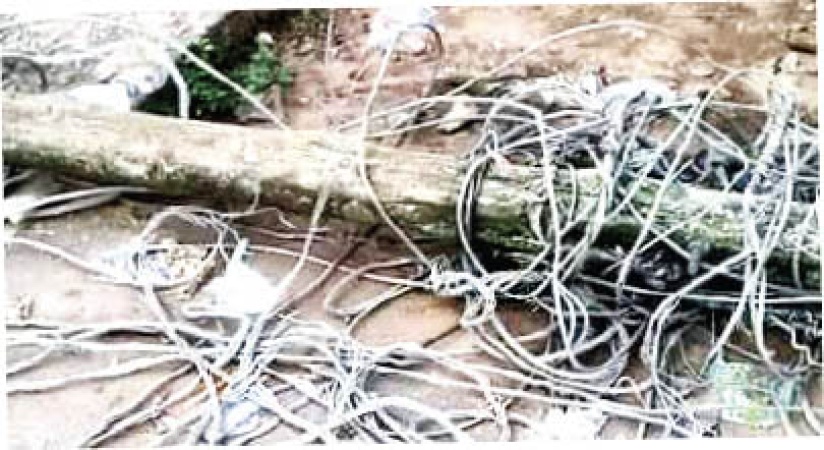 Fallen power cable electrocutes three-year-old in Anambra
