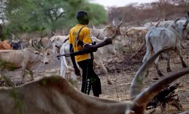 Two herders gunned down, vigilante injured in Abuja community
