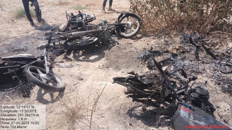 Scores of terrorists killed in Borno community ? Military