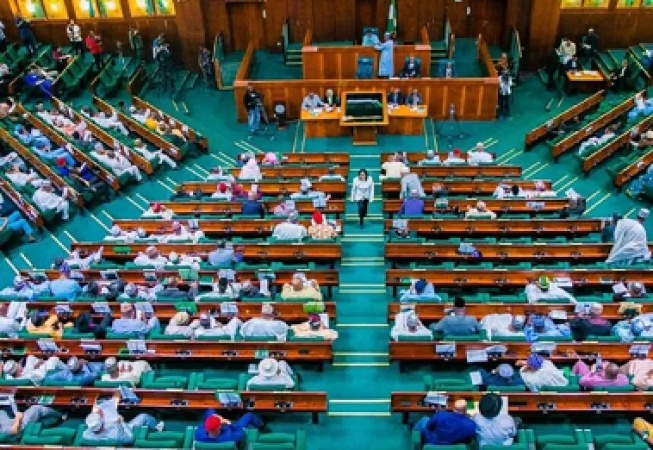 Reps quiz FCT Minister for failing to defend area councils budget
