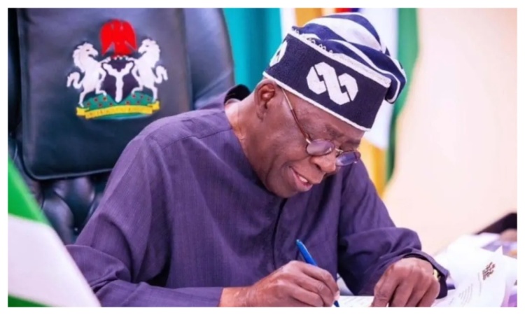 FULL LIST: Tinubu appoints new governing council members for UNN, 2 other federal universities