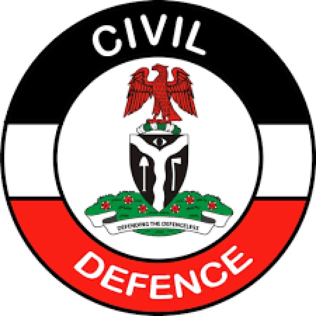 NSCDC uncovered 460 illegal mining sites, 387 arrested in 14-months ? Commander