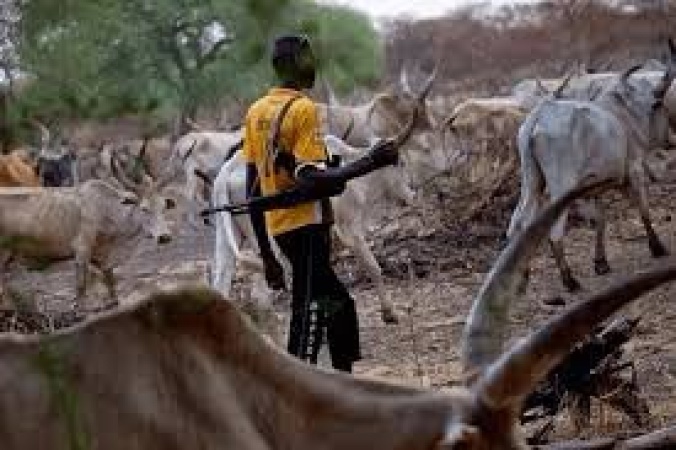 Again, herdsmen attack couple in Imo community, kill husband, wife wounded