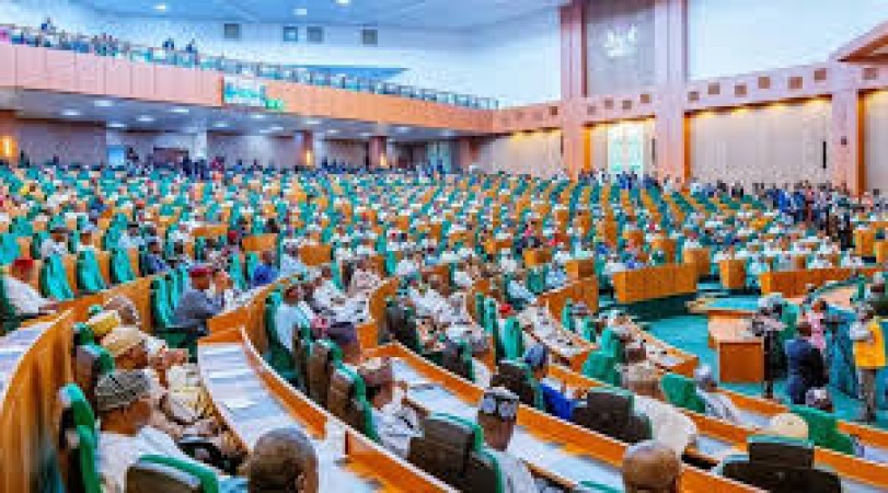 Reps invite Babcock, Igbinedion varsities VCs, others over alleged certificate racketeering