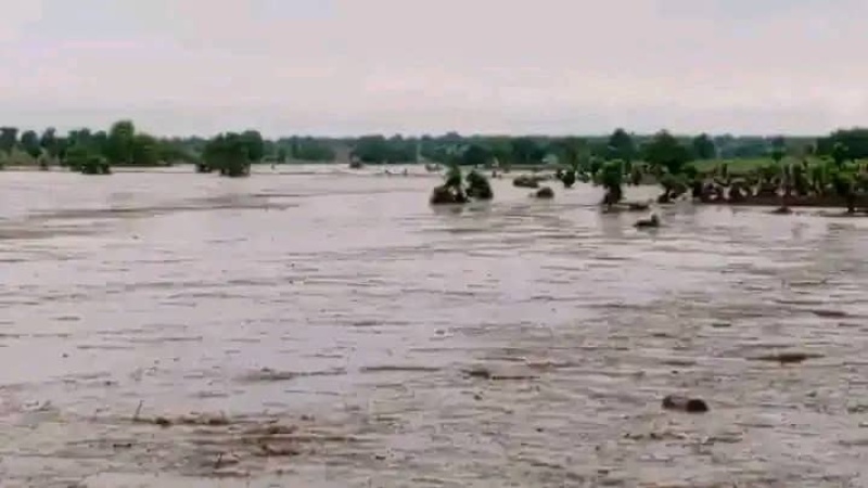Many feared dead as flood ravages Niger community