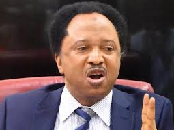 Mixed reactions trail Shehu Sani?s call for assessment of govs, lawmakers? performance