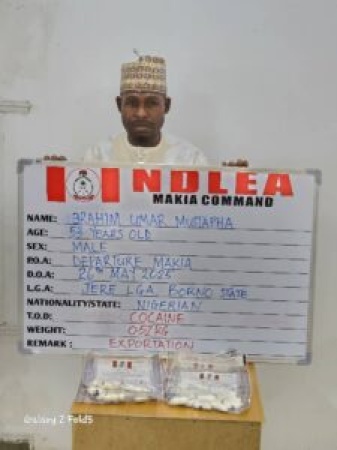NDLEA intercepts N9.3bn worth of opioids in Rivers