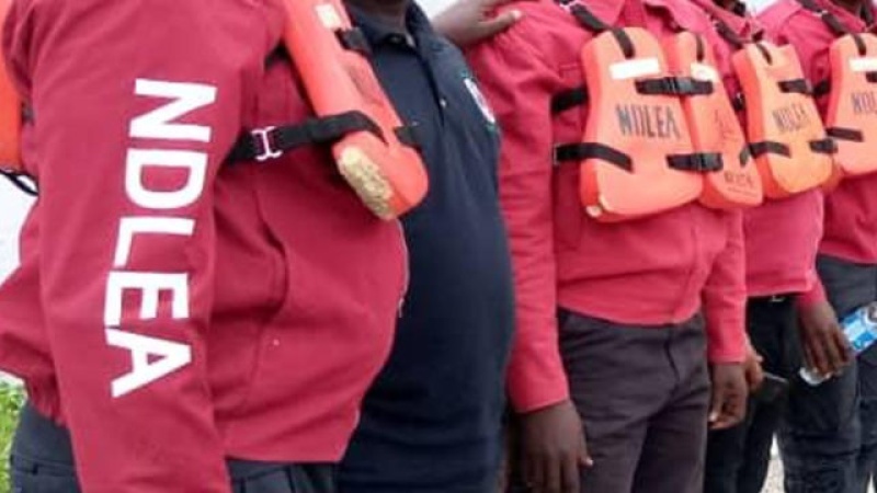 Eid-El-Kabir: NDLEA raids drug dens, arrests 36 suspects in Kano