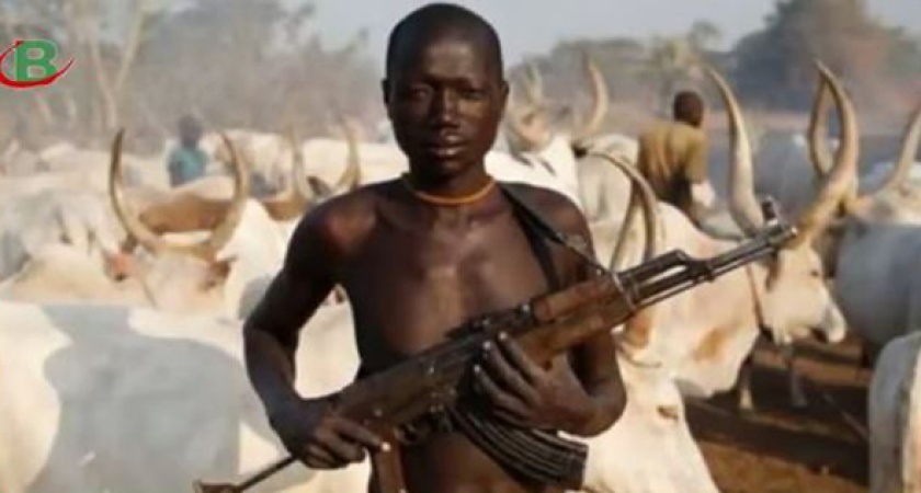 Enugu-bound traders? bus hijacked in Benue, one woman shot, others abducted