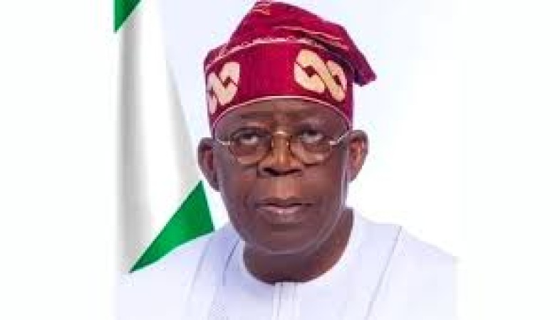 Tinubu not surrounded by right people, should ?refresh? cabinet ? Ado-Ibrahim