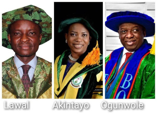 Three FUOYE academics win N300m global grants