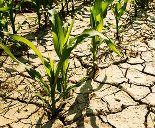 Nigerian engineer develops tech to tackle climate change