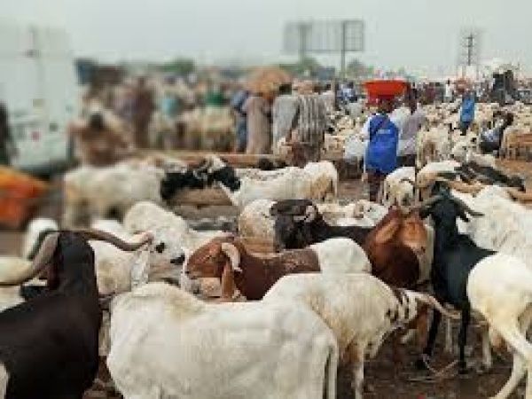 Sallah: Business owners lament low patronage, urge govt?s action