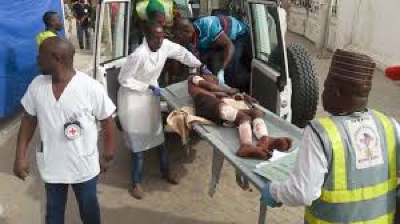 Female suicide bomber kills 24 in Borno