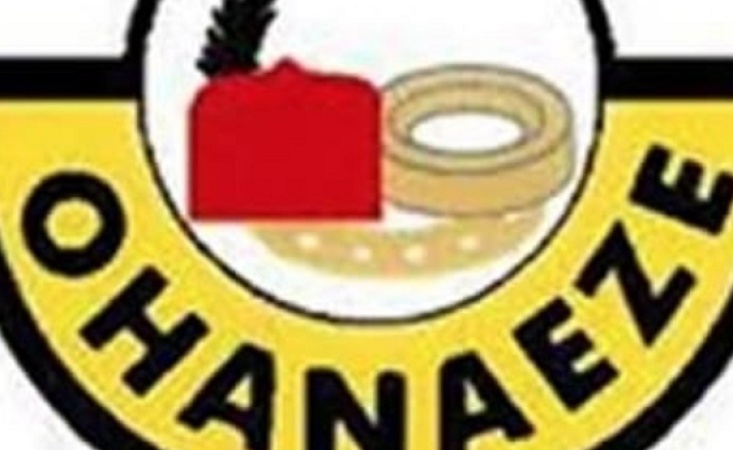   2027: Ohanaeze Ndigbo pledges active participation in national politic