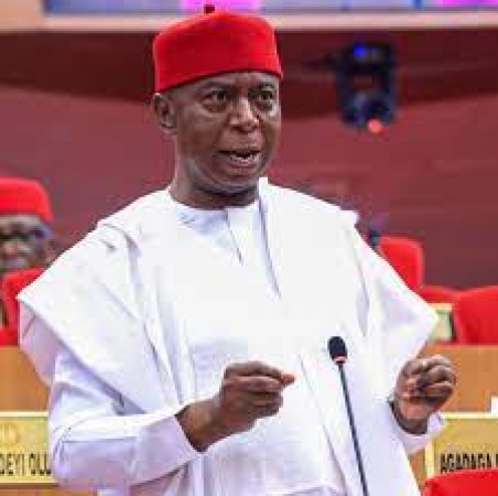 Delta North APC divided over Ned Nwoko?s 2027 endorsement