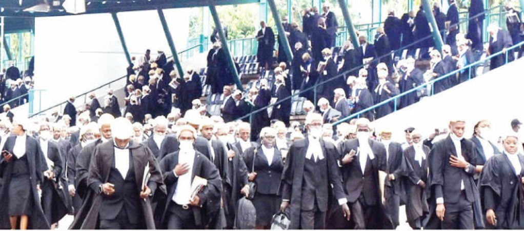 Noble profession, harsh beginnings: The plight of Nigeria?s young legal professionals