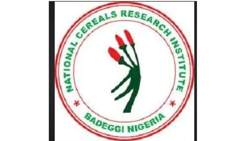 Research Institute produces Africa?s first Zinc-Biofortified rice seeds