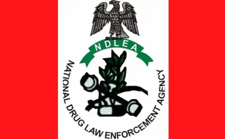 Don?t help anyone carry bags you didn?t pack, NDLEA warns travellers
