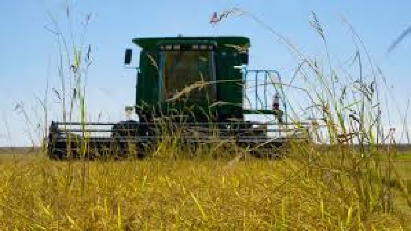 Trump threatens Japan with new tariffs, claiming it won?t buy America?s rice
