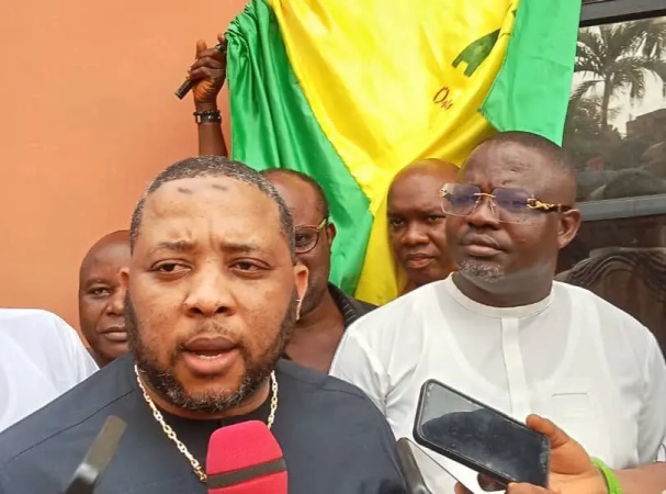 Insecurity: It?s like we?re losing entire Anambra to killer herdsmen ? Onyeeze laments