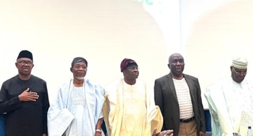 Why I joined David Mark-led coalition ? Peter Obi