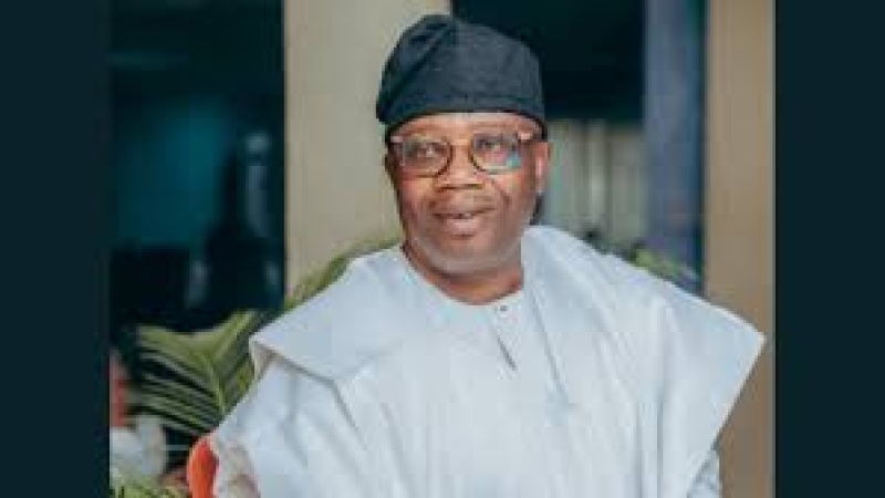Senator?s aide resigns over N20,000 monthly salary