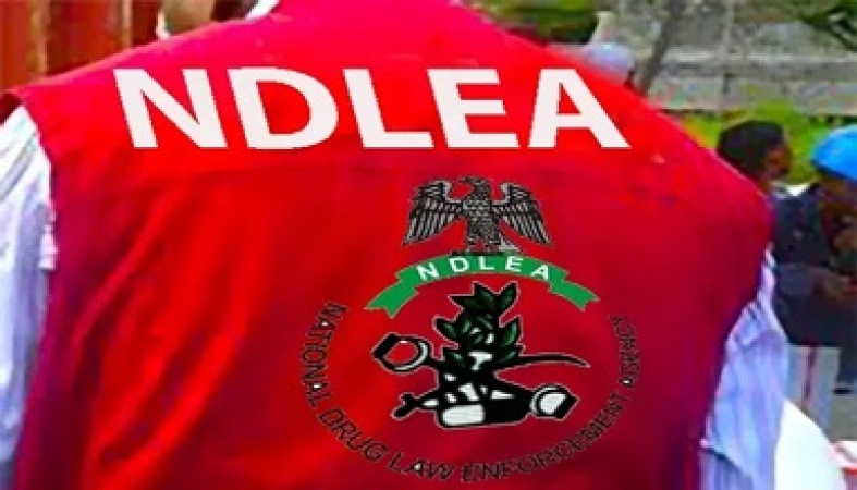 NDLEA recovers $17.7million travelers? cheques in children books
