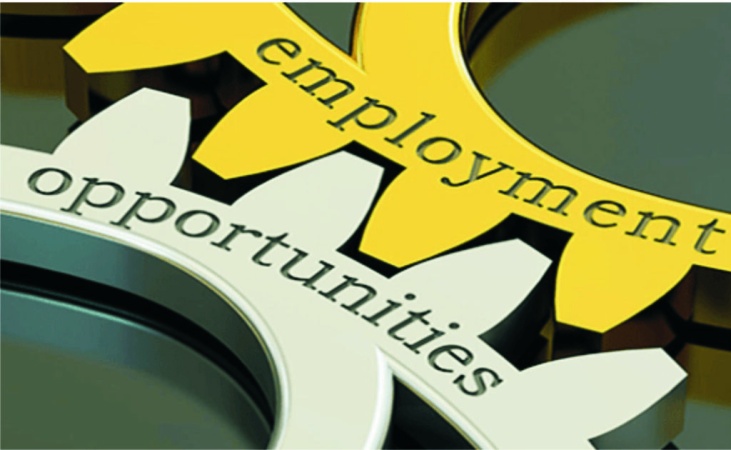 Group plans 15m jobs in Nigeria