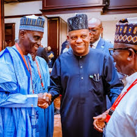 Malnutrition denying 40 per cent of Nigerian children their full potential ? Shettima