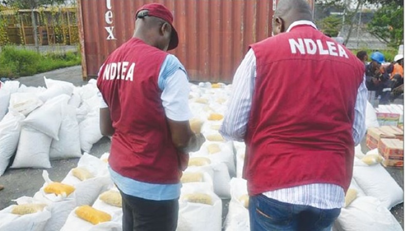 Senate seeks compensation of N200m for child killed in NDLEA accidental discharge