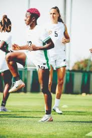 Super Falcons to use Algeria to prepare for WAFCON Q?final