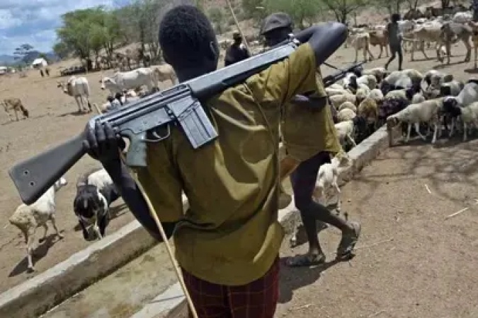 How Fulani militia killings escape global attention ? Security expert