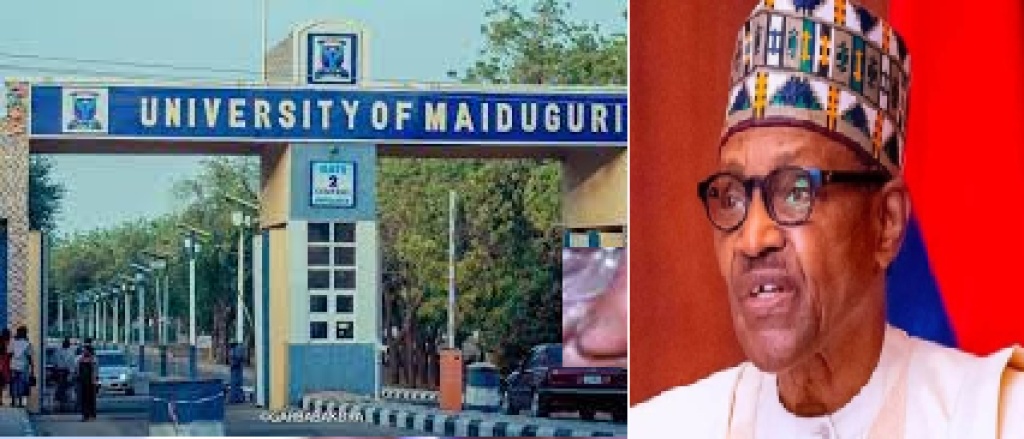 Why UNIMAID was renamed after Buhari ? Education ministry