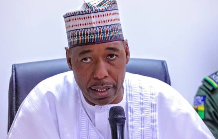 Over-bloated workforce stalls N70,000 minimum wage in Borno