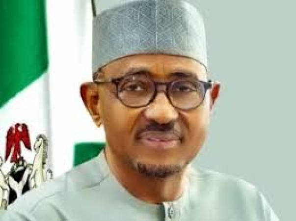 Reps dismiss petitions for NMDPRA CEO?s sack