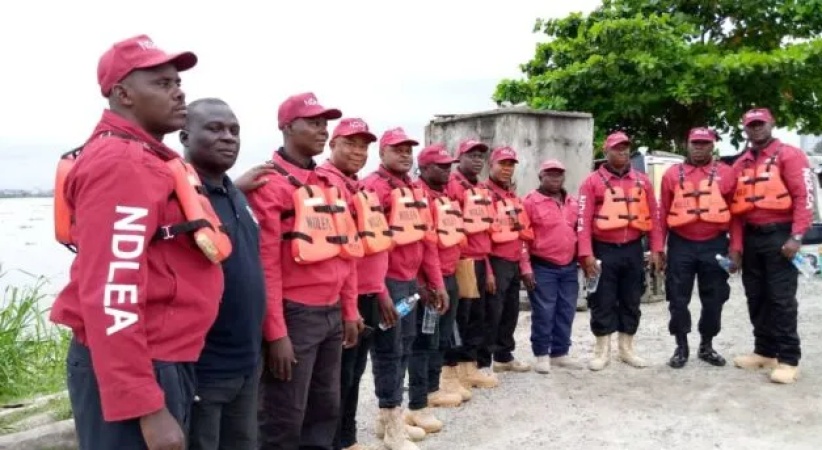 60 arrested in connection with drug abuse in Yobe ? Official