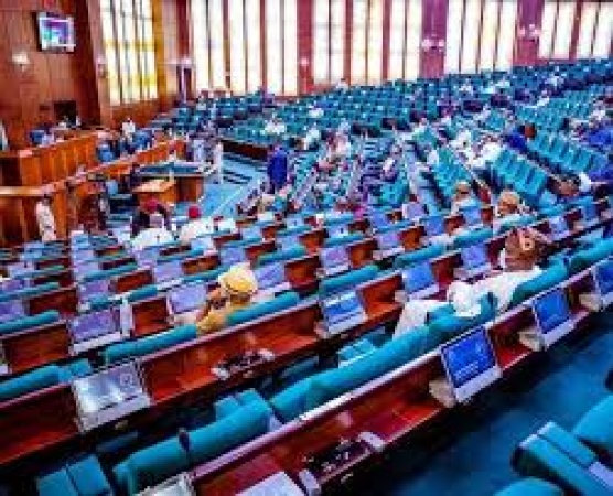 Constitution review: Despite loud agitations, 46 proposed states fail five key criteria 