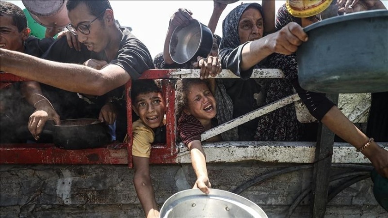 1 in 3 people in Gaza hasn?t eaten for days: UN