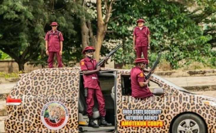 UN declares July 7 ?World Amotekun Day?, acknowledges role in regional security