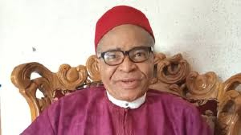Buhari's appointees took advantage of his ailment to destroy Nigeria ? Ahamba