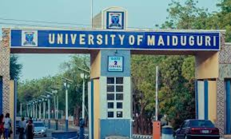 Maiduguri varsity tops NELFUND students? loan applications