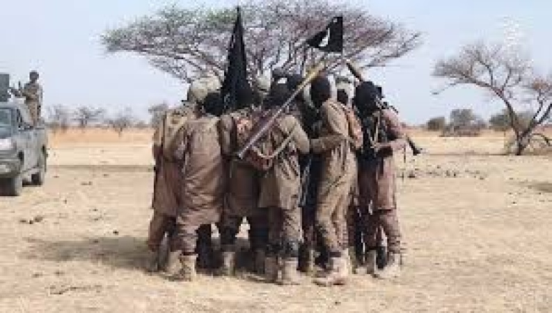 ISWAP makes $191m annually taxing locals in Lake Chad region ? Report